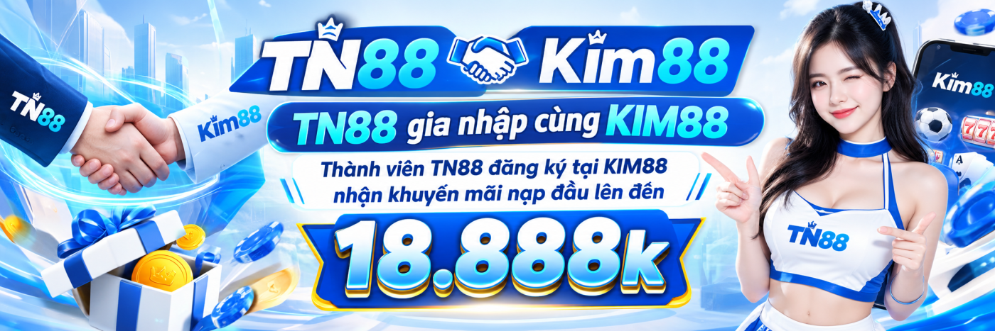 banner TN88